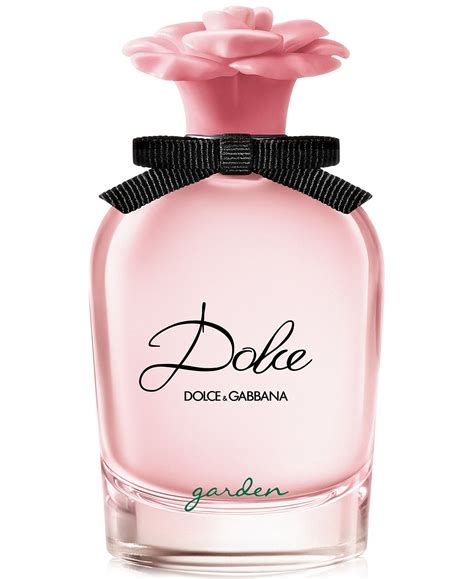 dolce gabbana new fragrance women